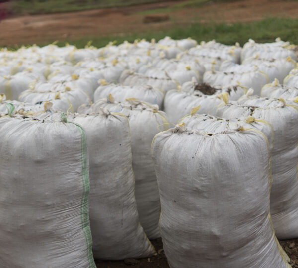 Organic Manure Production