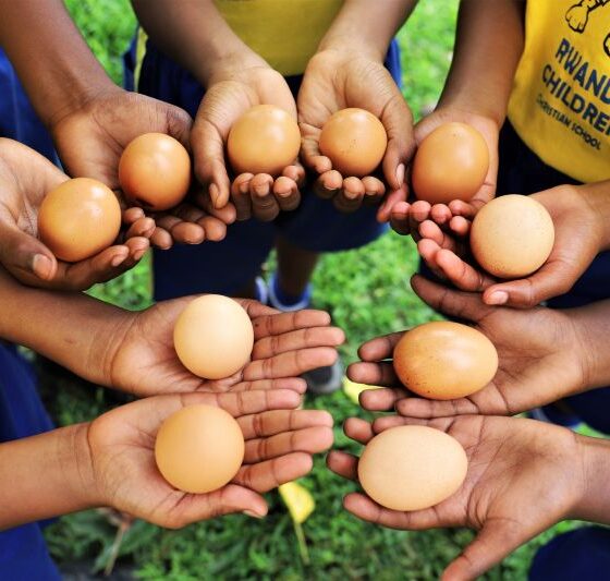 Partnering for Impact: How You Can Help End Child Malnutrition