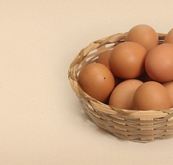 One Egg a Day: A Simple Gift That Changes Everything